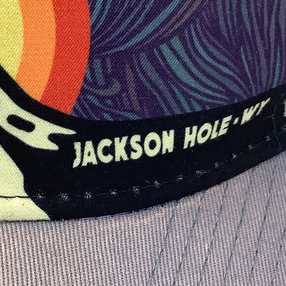 Jackson Hole Wyoming WY Trucker Hat Cap Snapback Cap Gray Mesh Multicolor Duckco - Picture 8 of 9